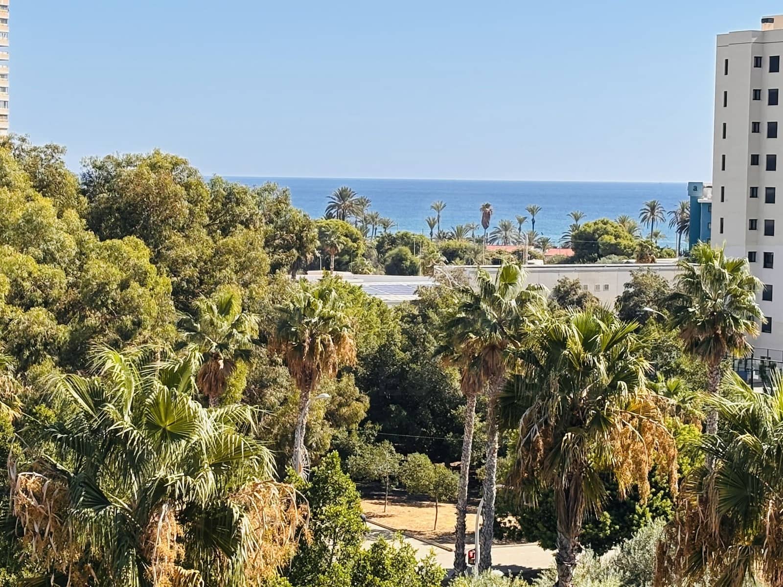 4 sovrum Lägenhet att hyra i Alicante stad med pool garage - 2 600 € (Ref: 10139022)