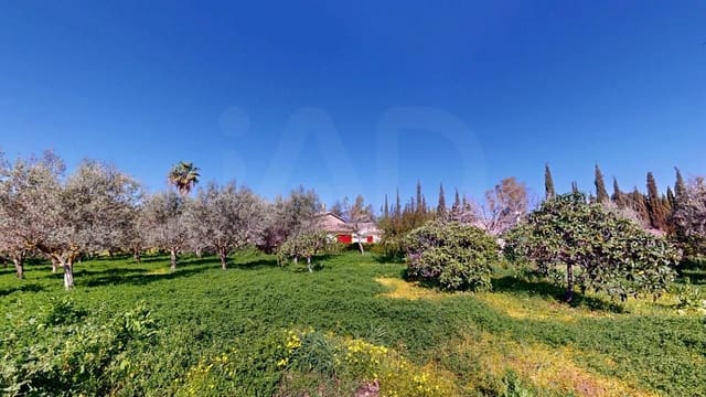 8 soveværelse Lejlighed til salg i Establiments, Palma de Mallorca - € 1.390.000 (Ref: 10139679)