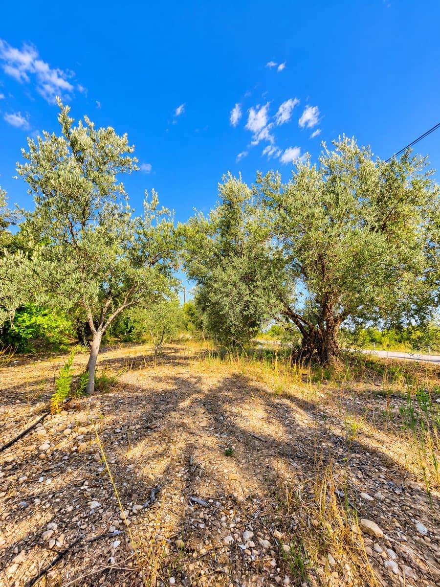 Mark till salu i Calasparra - 22 000 € (Ref: 10140355)