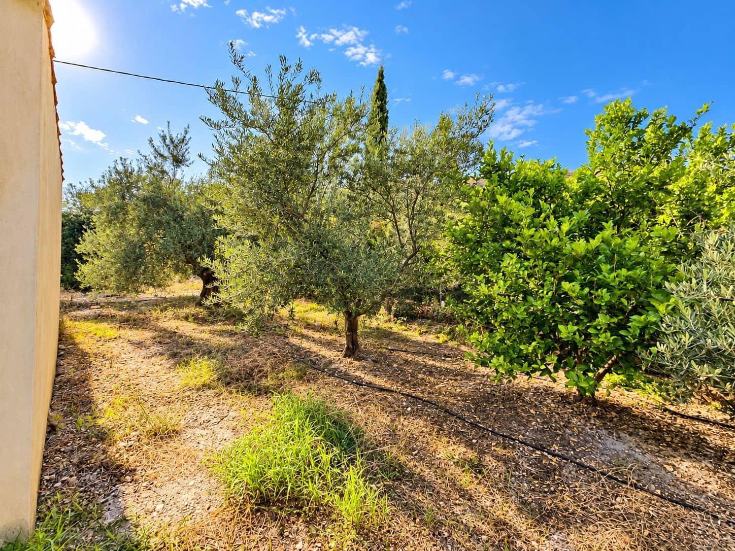 Mark till salu i Calasparra - 22 000 € (Ref: 10140355)