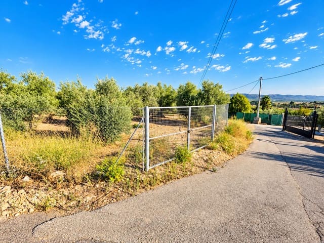 Mark till salu i Calasparra - 22 000 € (Ref: 10140355)