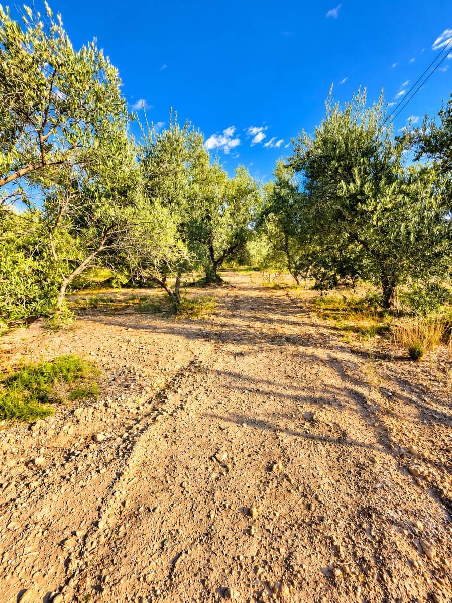 Mark till salu i Calasparra - 22 000 € (Ref: 10140355)