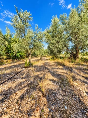 Mark till salu i Calasparra - 22 000 € (Ref: 10140355)