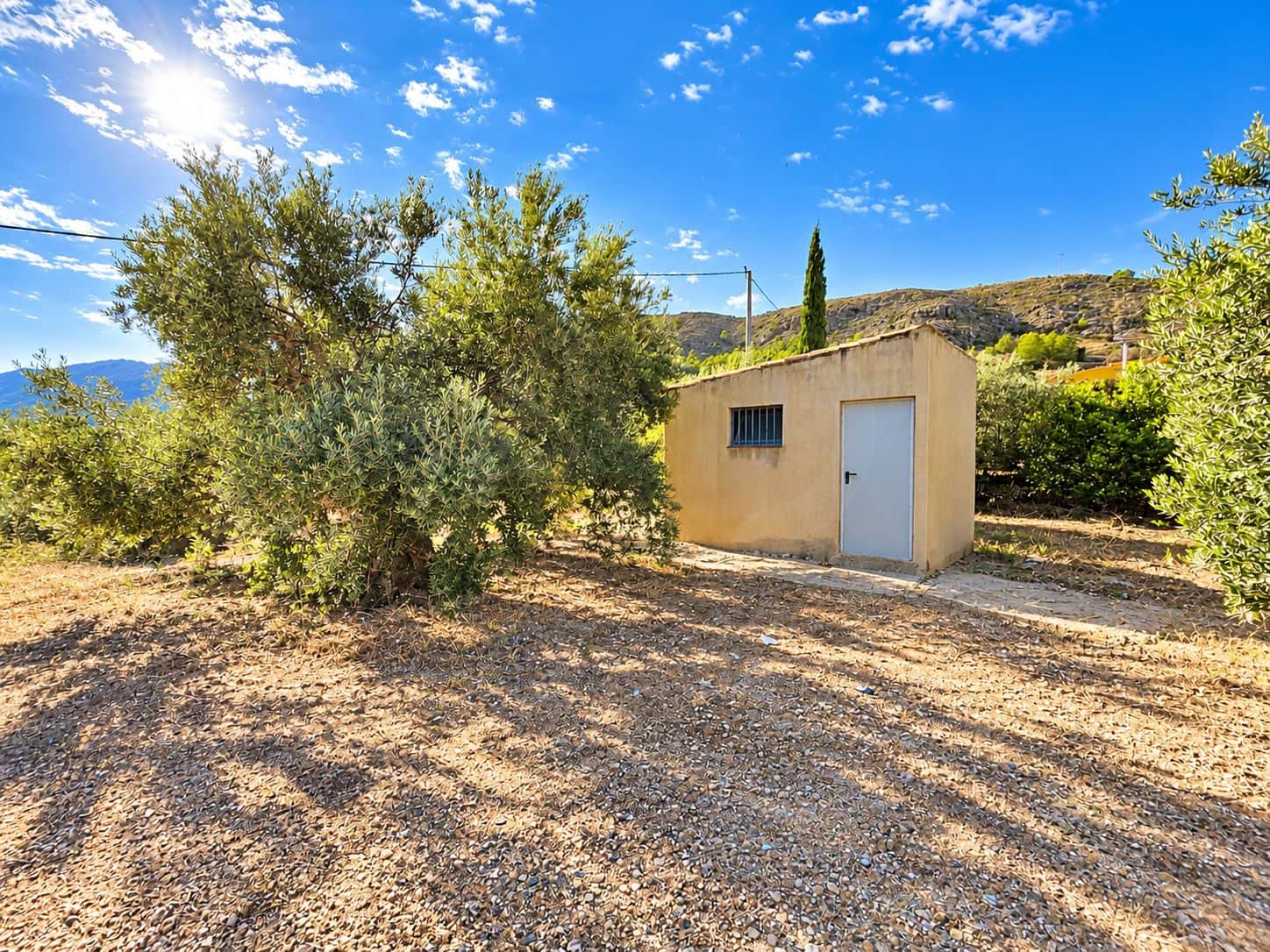 Mark till salu i Calasparra - 22 000 € (Ref: 10140355)