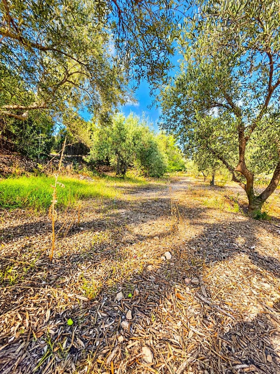 Mark till salu i Calasparra - 22 000 € (Ref: 10140355)