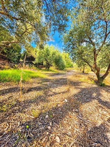 Mark till salu i Calasparra - 22 000 € (Ref: 10140355)