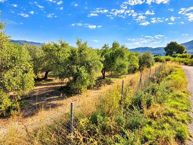 Mark till salu i Calasparra - 22 000 € (Ref: 10140355)
