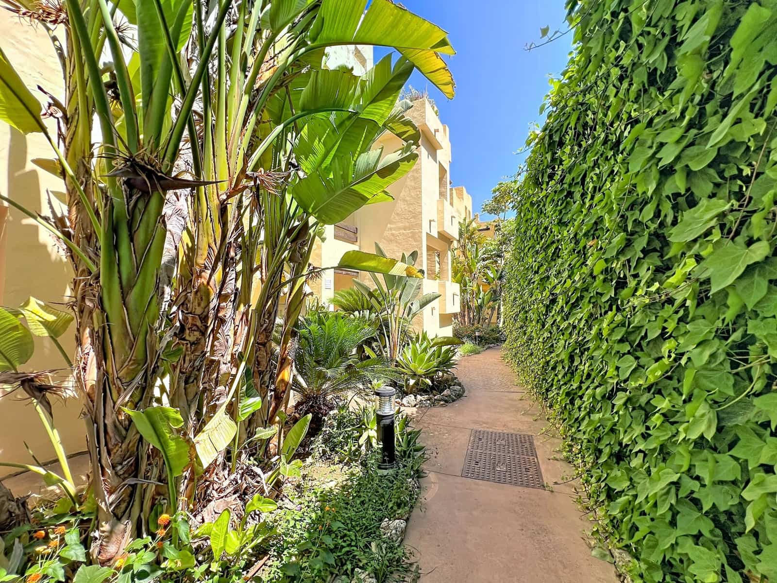2 bedroom Apartment for rent in Manilva with pool garage - € 1,450 (Ref: 10141598)