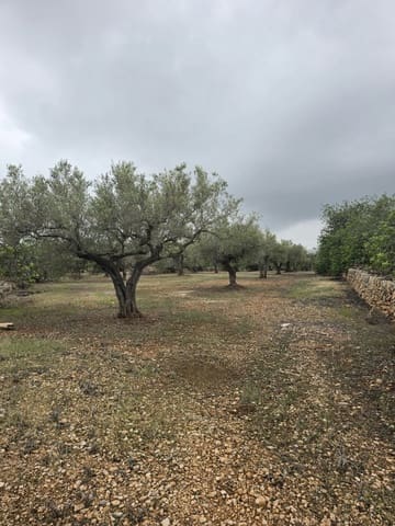 Ubebygd land til salgs i L'Ametlla de Mar - € 98 000 (Ref: 10145201)