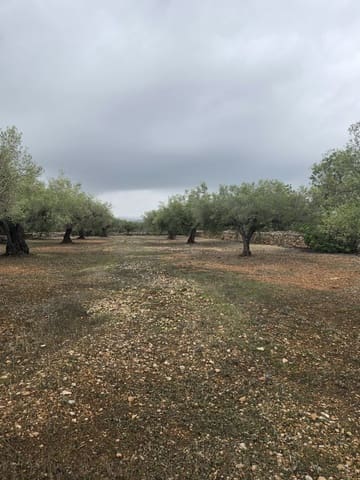 Ubebygd land til salgs i L'Ametlla de Mar - € 98 000 (Ref: 10145201)