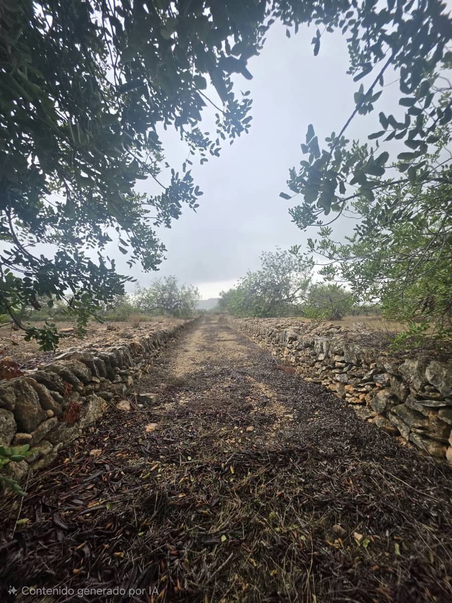Ubebygd land til salgs i L'Ametlla de Mar - € 98 000 (Ref: 10145201)