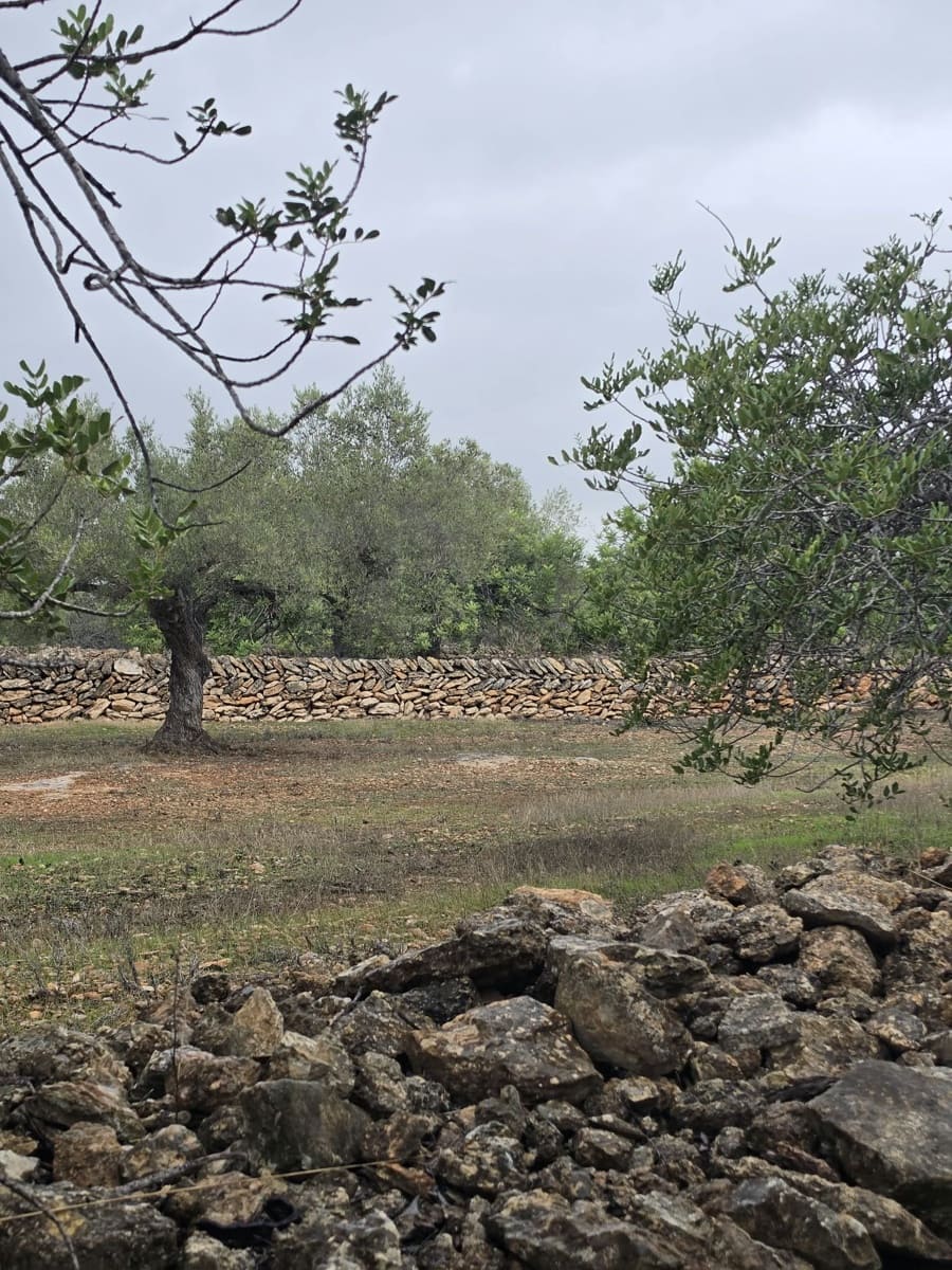 Ubebygd land til salgs i L'Ametlla de Mar - € 98 000 (Ref: 10145201)