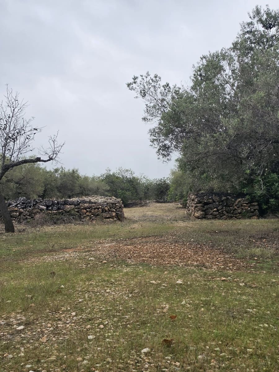Ubebygd land til salgs i L'Ametlla de Mar - € 98 000 (Ref: 10145201)