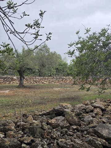 Ubebygd land til salgs i L'Ametlla de Mar - € 98 000 (Ref: 10145201)