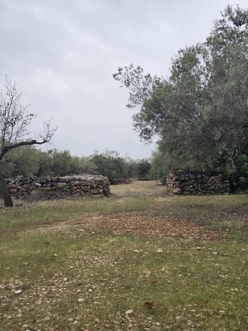 Ubebygd land til salgs i L'Ametlla de Mar - € 98 000 (Ref: 10145201)