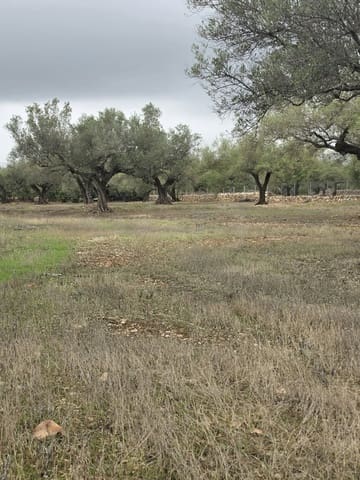 Ubebygd land til salgs i L'Ametlla de Mar - € 98 000 (Ref: 10145201)