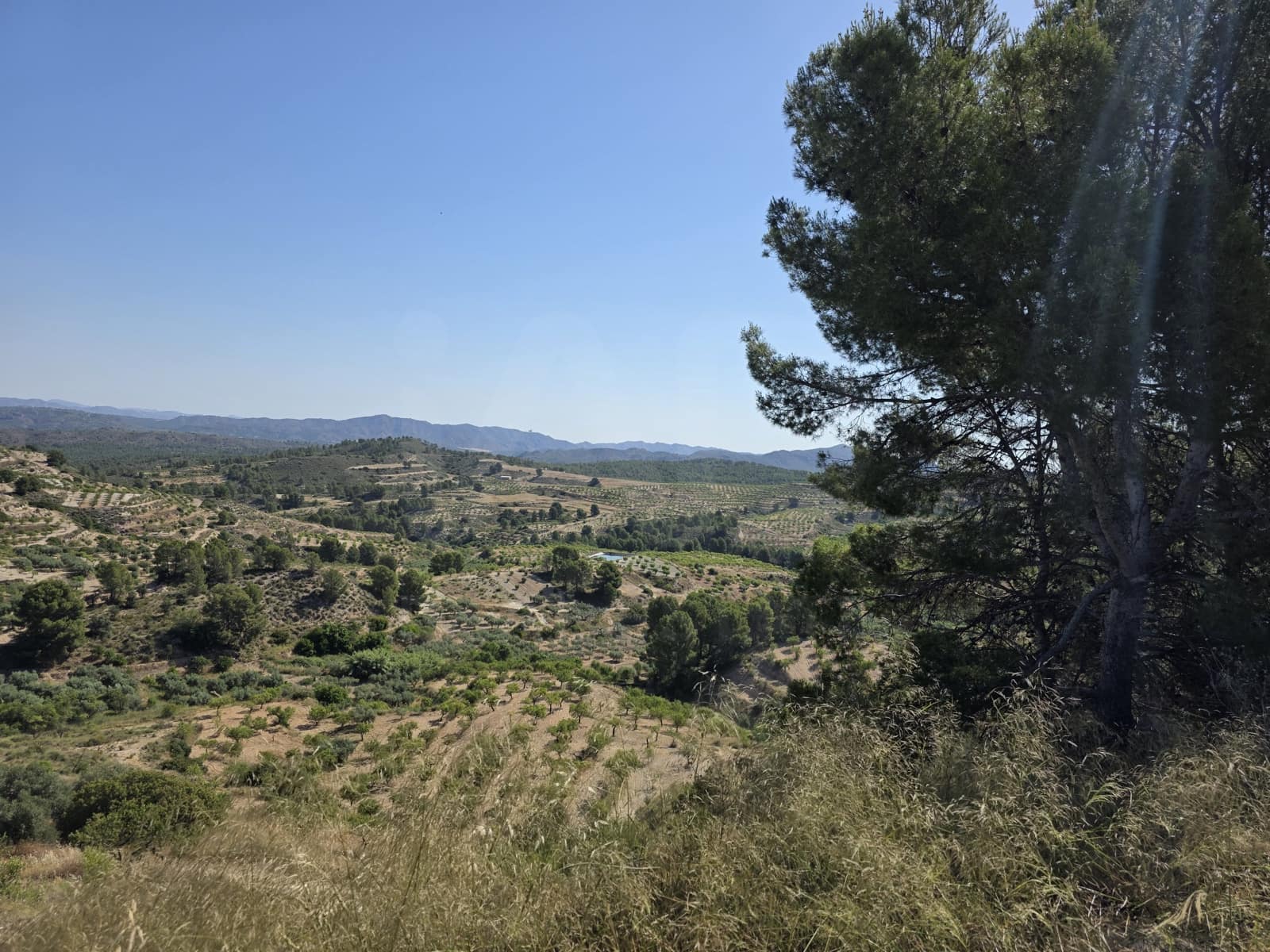 3 bedroom Townhouse for sale in Socovos - € 39,000 (Ref: 10148041)