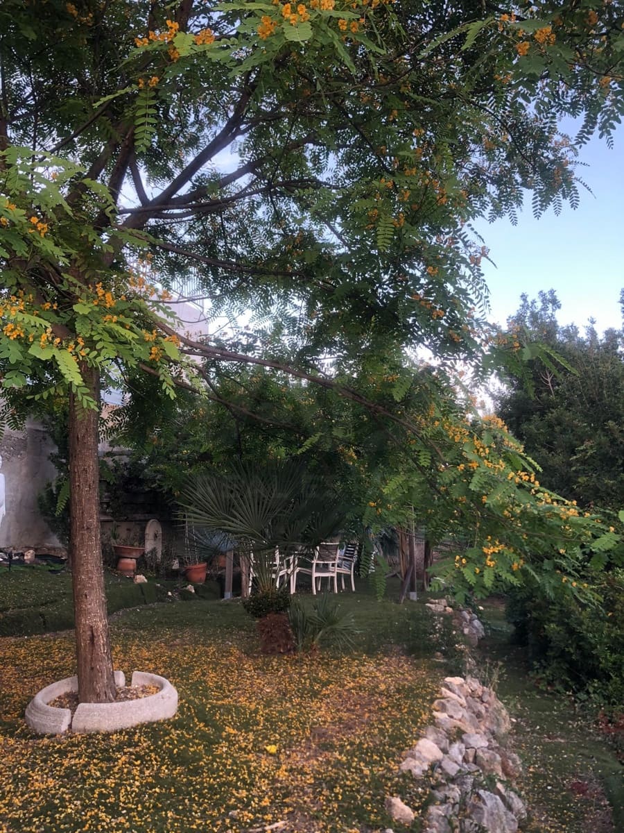 4 sypialnia Dom na sprzedaż w Cunit z basenem garażem - 498 750 € (Ref: 10148229)