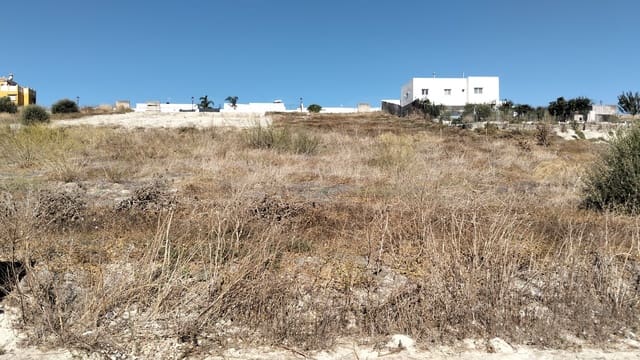 Terre non Aménagée à vendre à Sanlúcar de Barrameda - 98 000 € (Ref: 10150119)