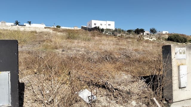 Terre non Aménagée à vendre à Sanlúcar de Barrameda - 98 000 € (Ref: 10150119)