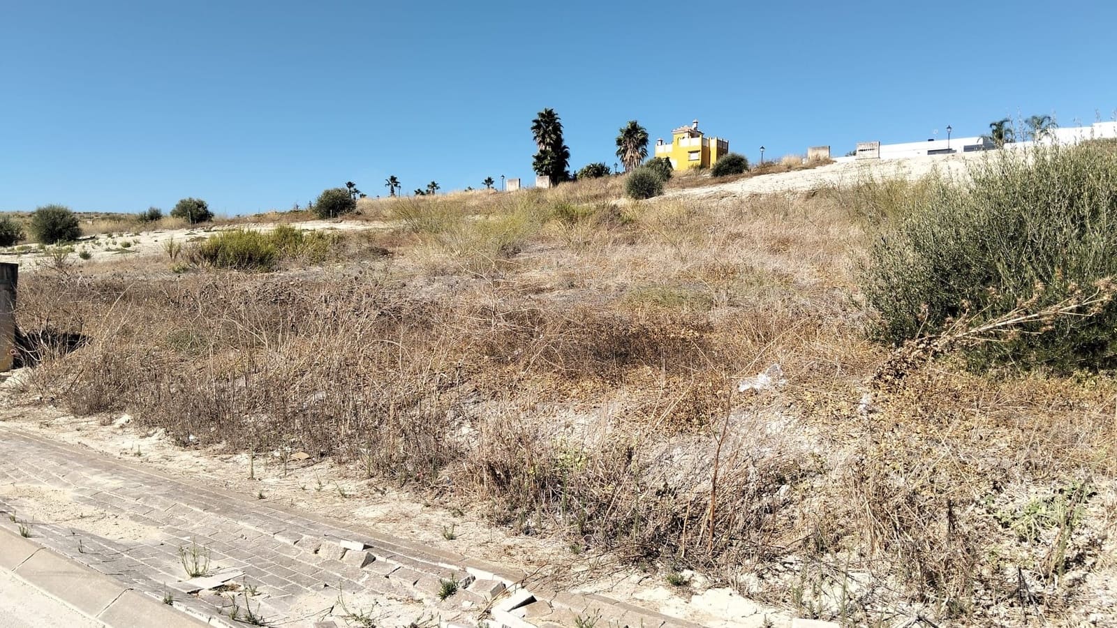 Terre non Aménagée à vendre à Sanlucar de Barrameda - 98 000 € (Ref: 10150119)