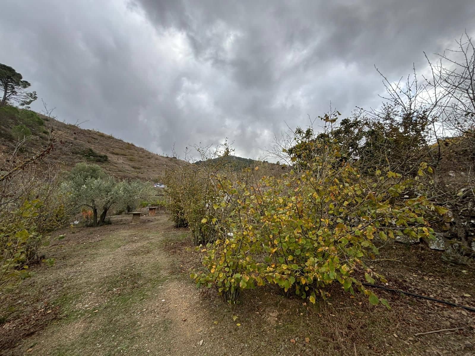Grond te koop in Porrera - € 87.500 (Ref: 10150584)