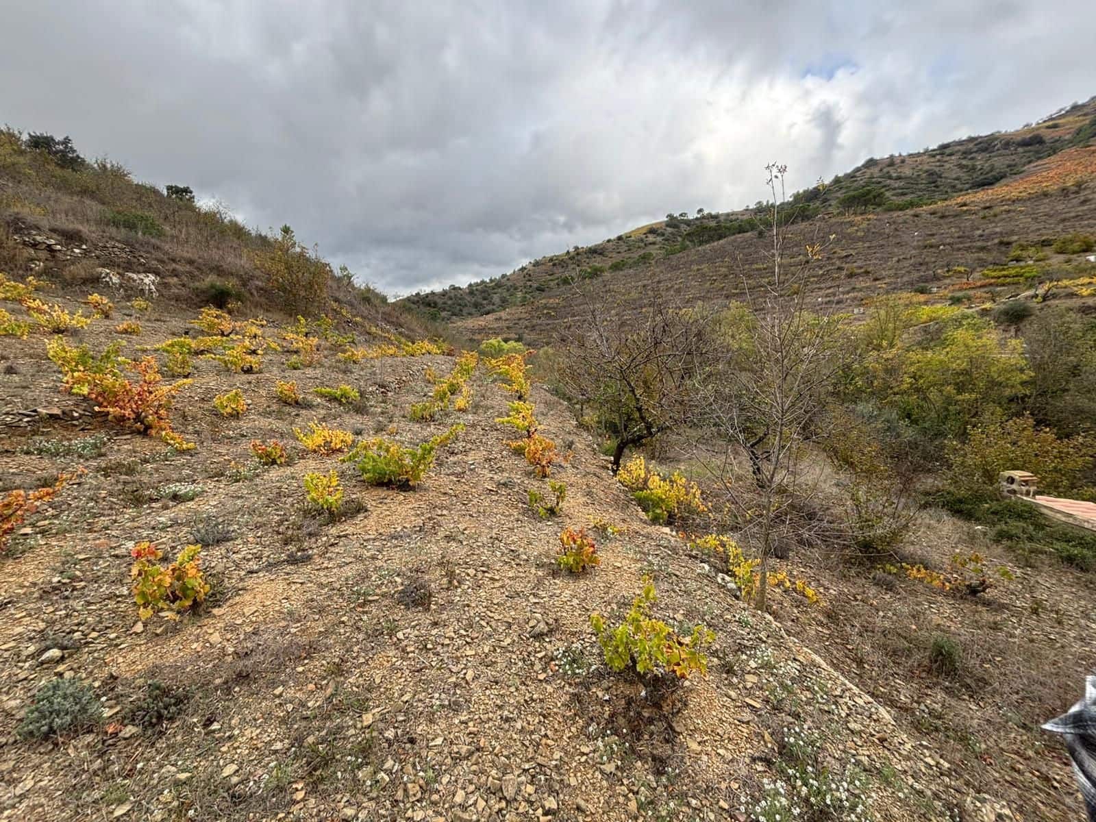 Grond te koop in Porrera - € 87.500 (Ref: 10150584)
