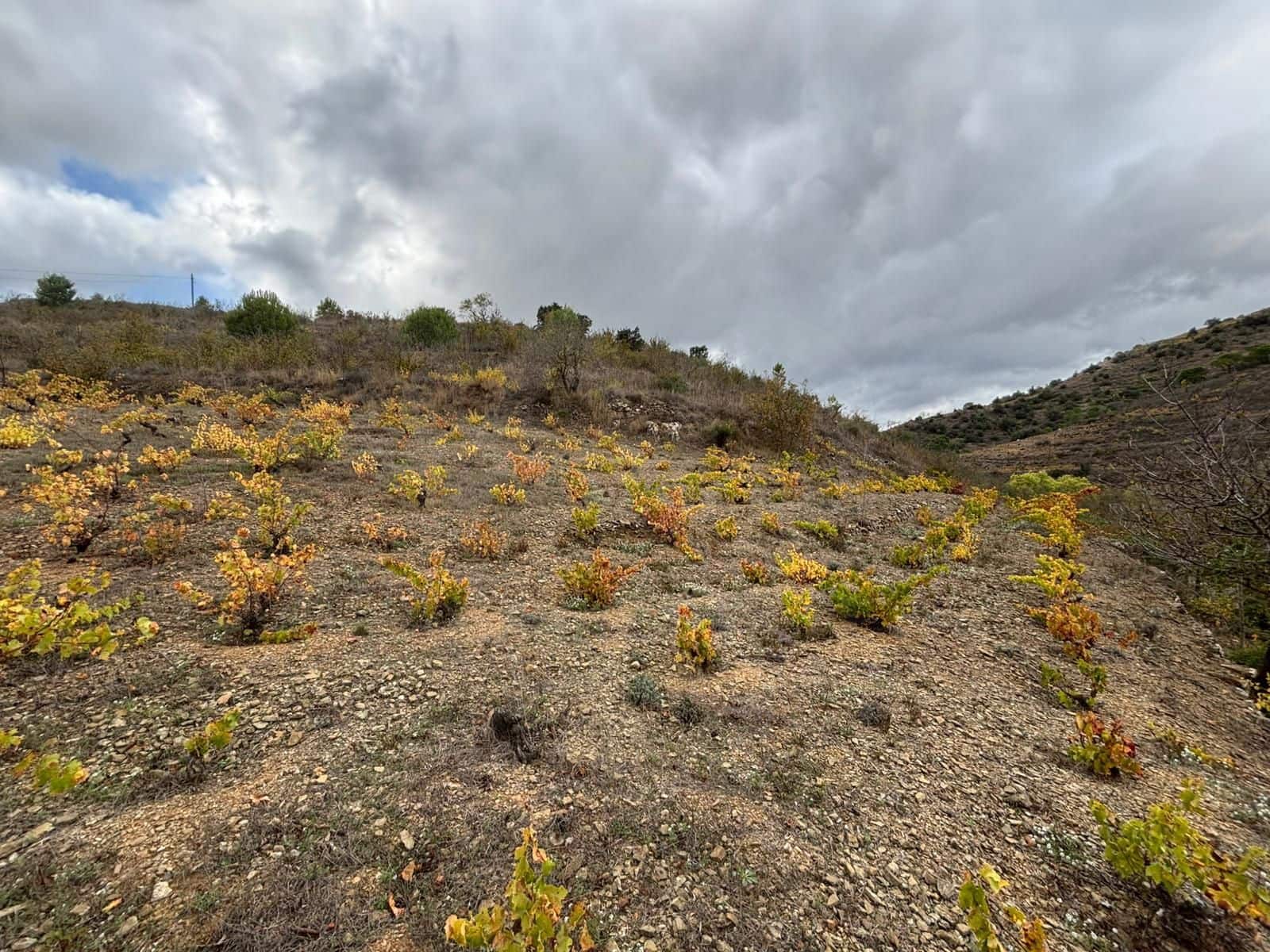 Grond te koop in Porrera - € 87.500 (Ref: 10150584)