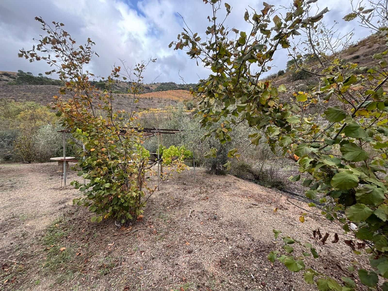 Grond te koop in Porrera - € 87.500 (Ref: 10150584)