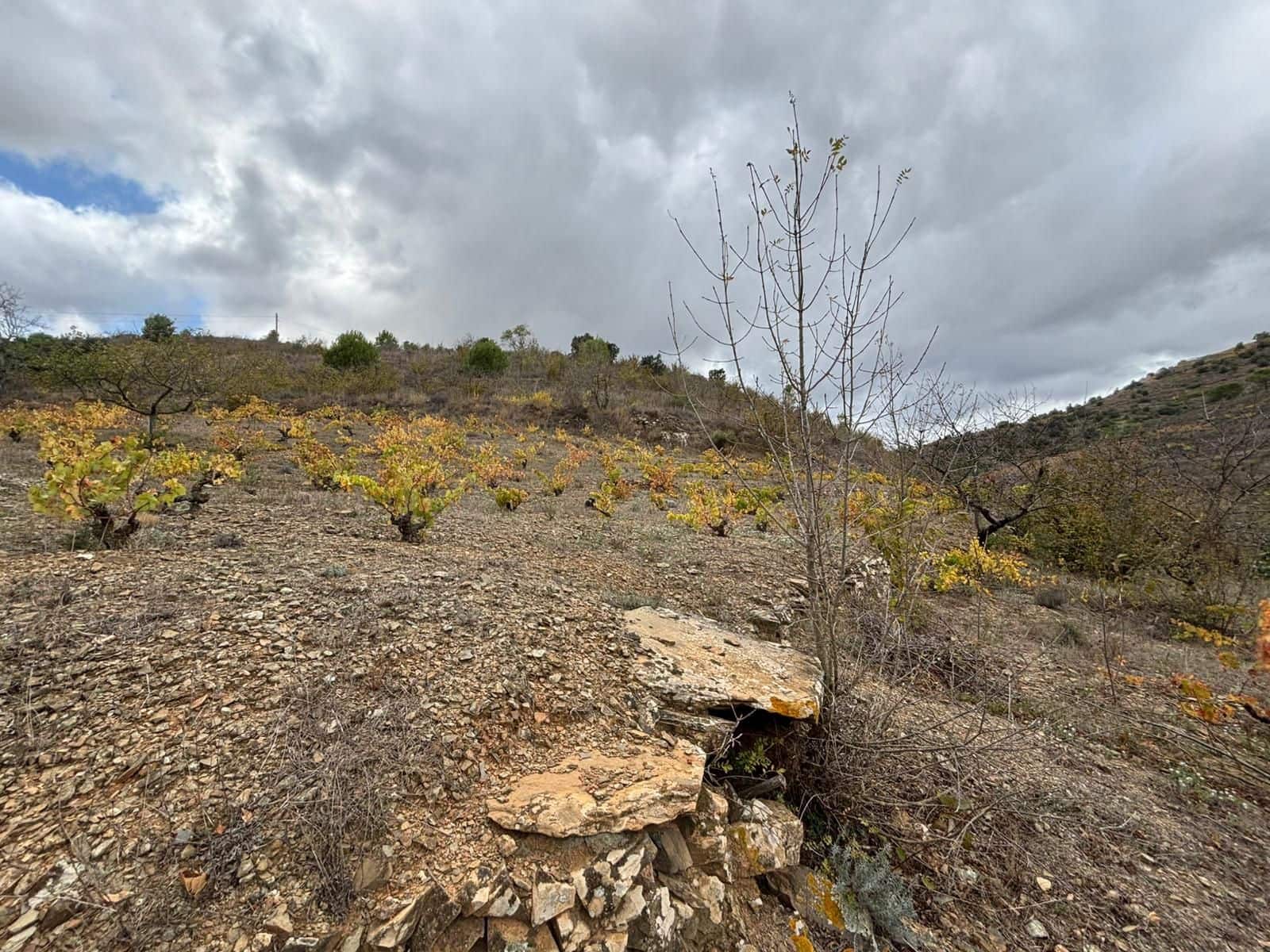 Grond te koop in Porrera - € 87.500 (Ref: 10150584)