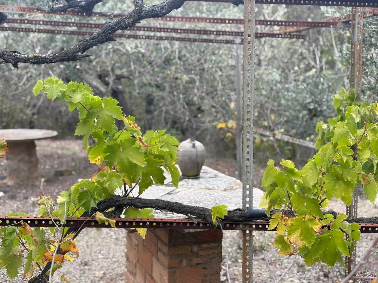 Grond te koop in Porrera - € 87.500 (Ref: 10150584)