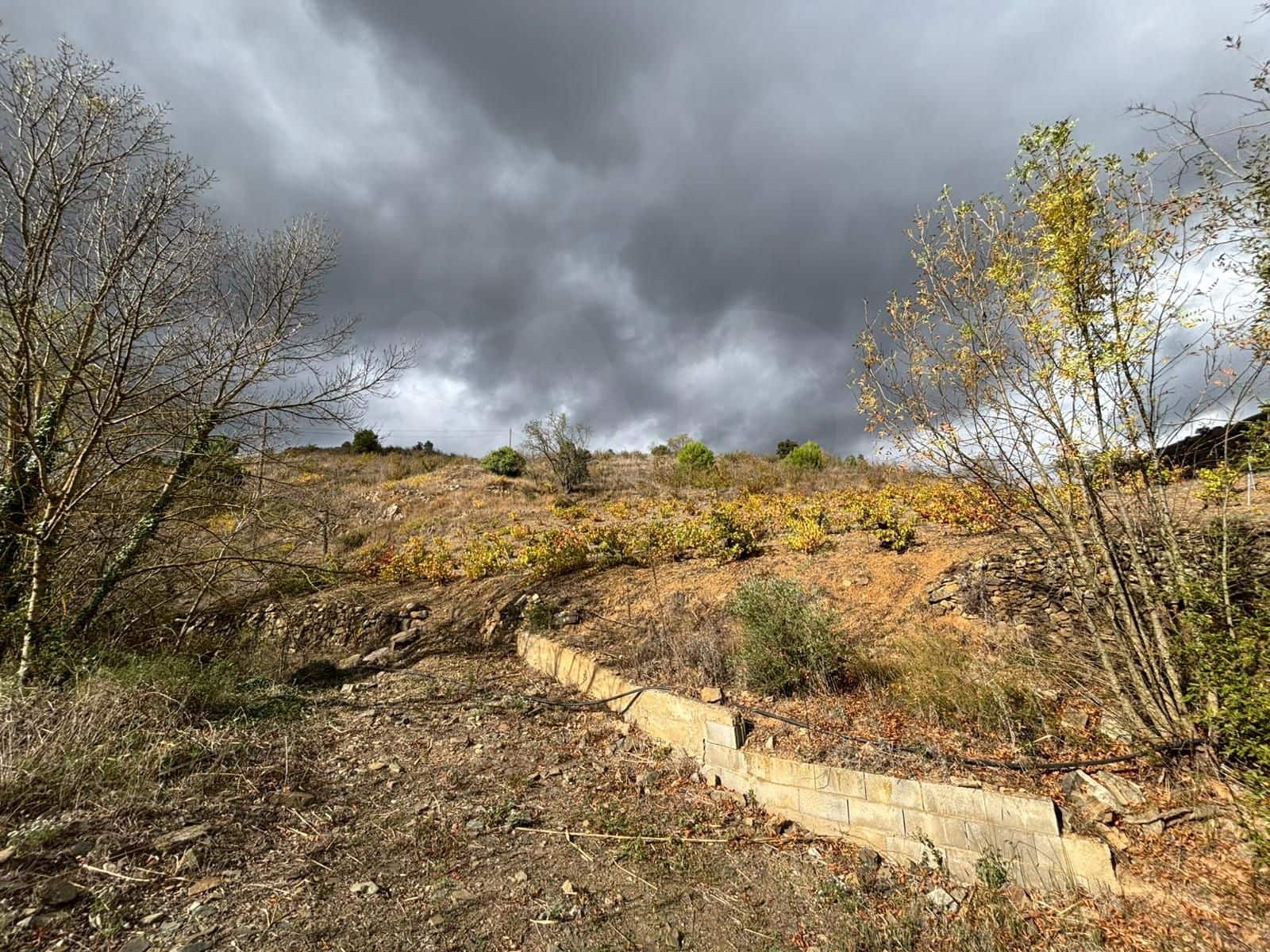 Grond te koop in Porrera - € 87.500 (Ref: 10150584)