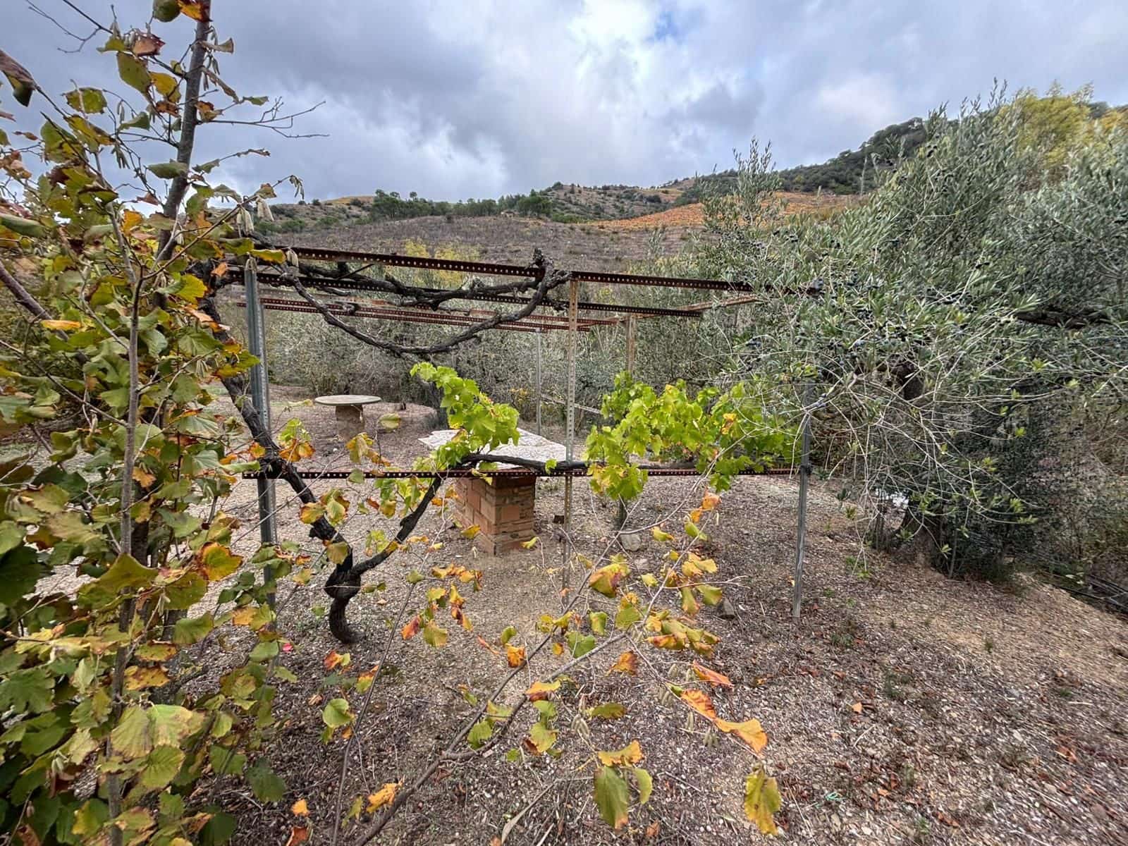 Grond te koop in Porrera - € 87.500 (Ref: 10150584)