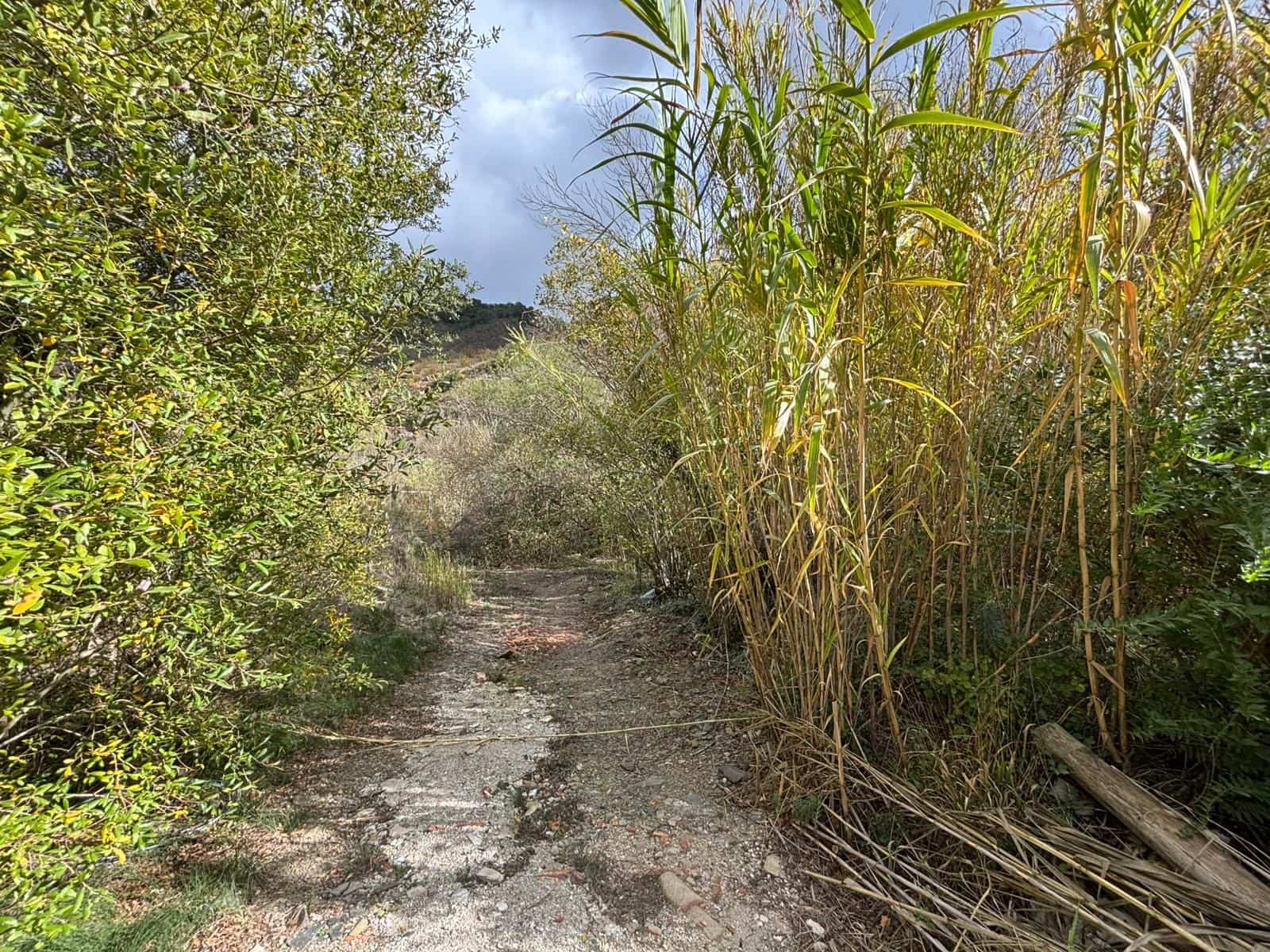 Grond te koop in Porrera - € 87.500 (Ref: 10150584)