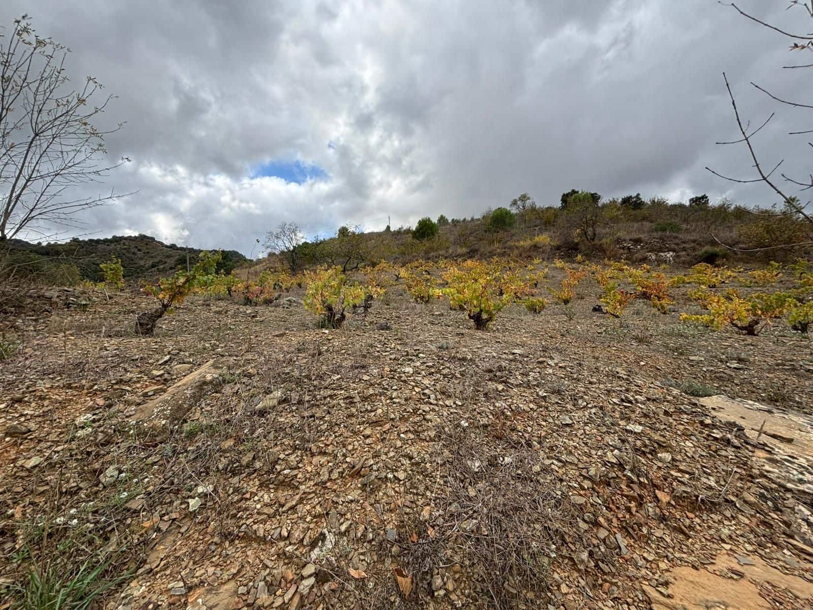 Grond te koop in Porrera - € 87.500 (Ref: 10150584)