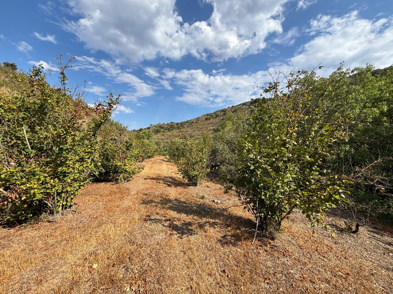 Grond te koop in Porrera - € 87.500 (Ref: 10150584)