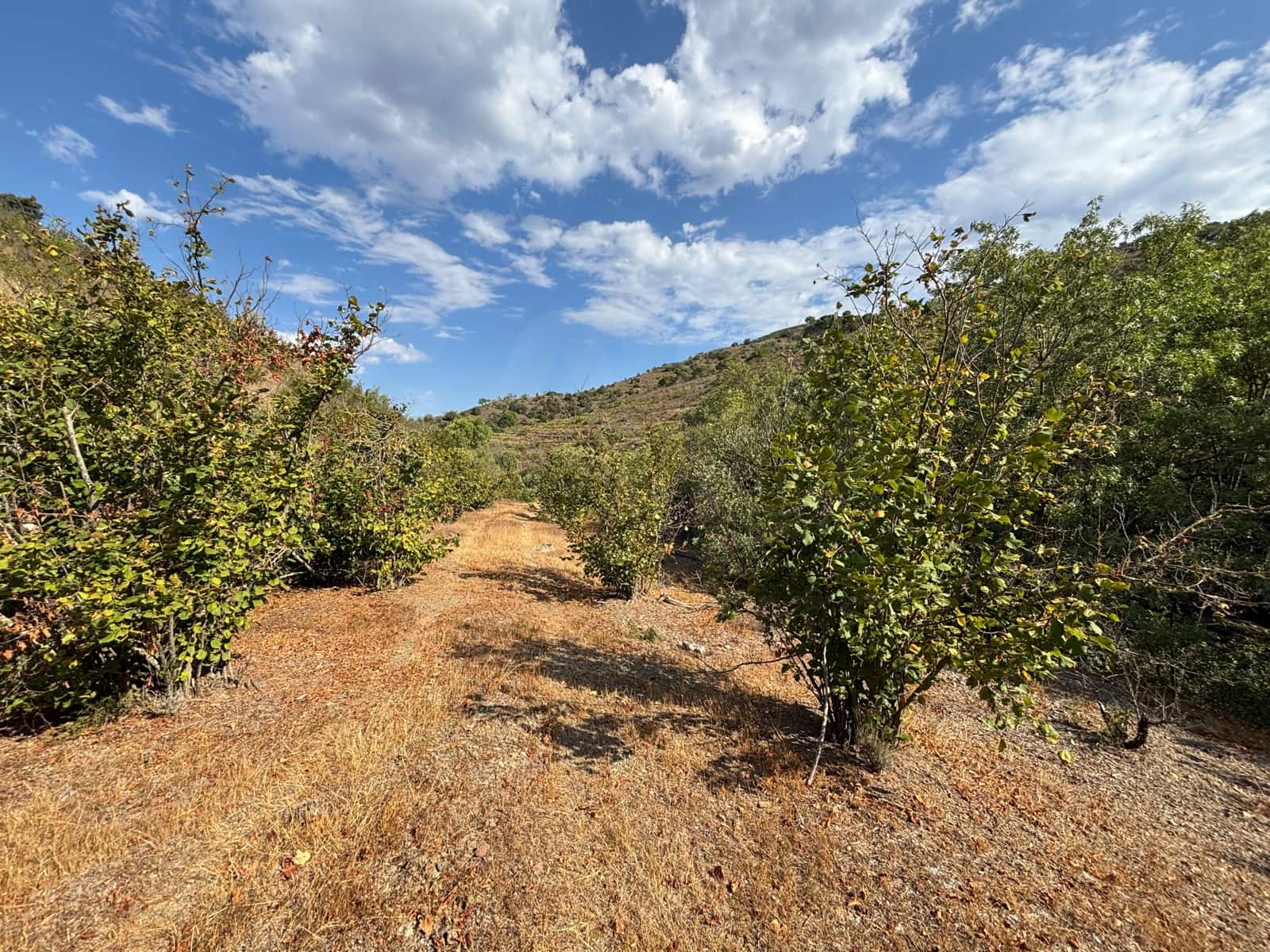 Grond te koop in Porrera - € 87.500 (Ref: 10150584)