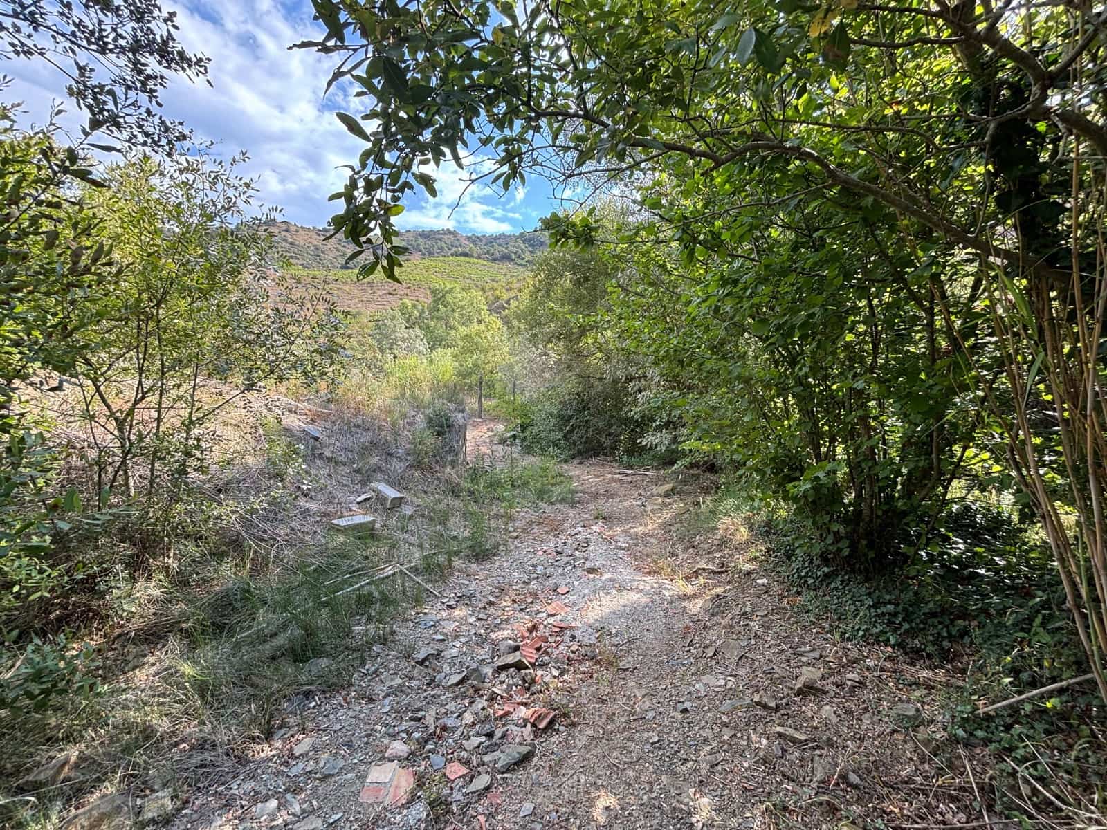 Grond te koop in Porrera - € 87.500 (Ref: 10150584)