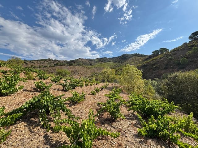 Grond te koop in Porrera - € 87.500 (Ref: 10150584)