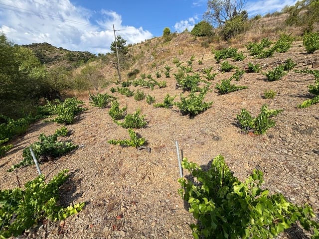 Grond te koop in Porrera - € 87.500 (Ref: 10150584)