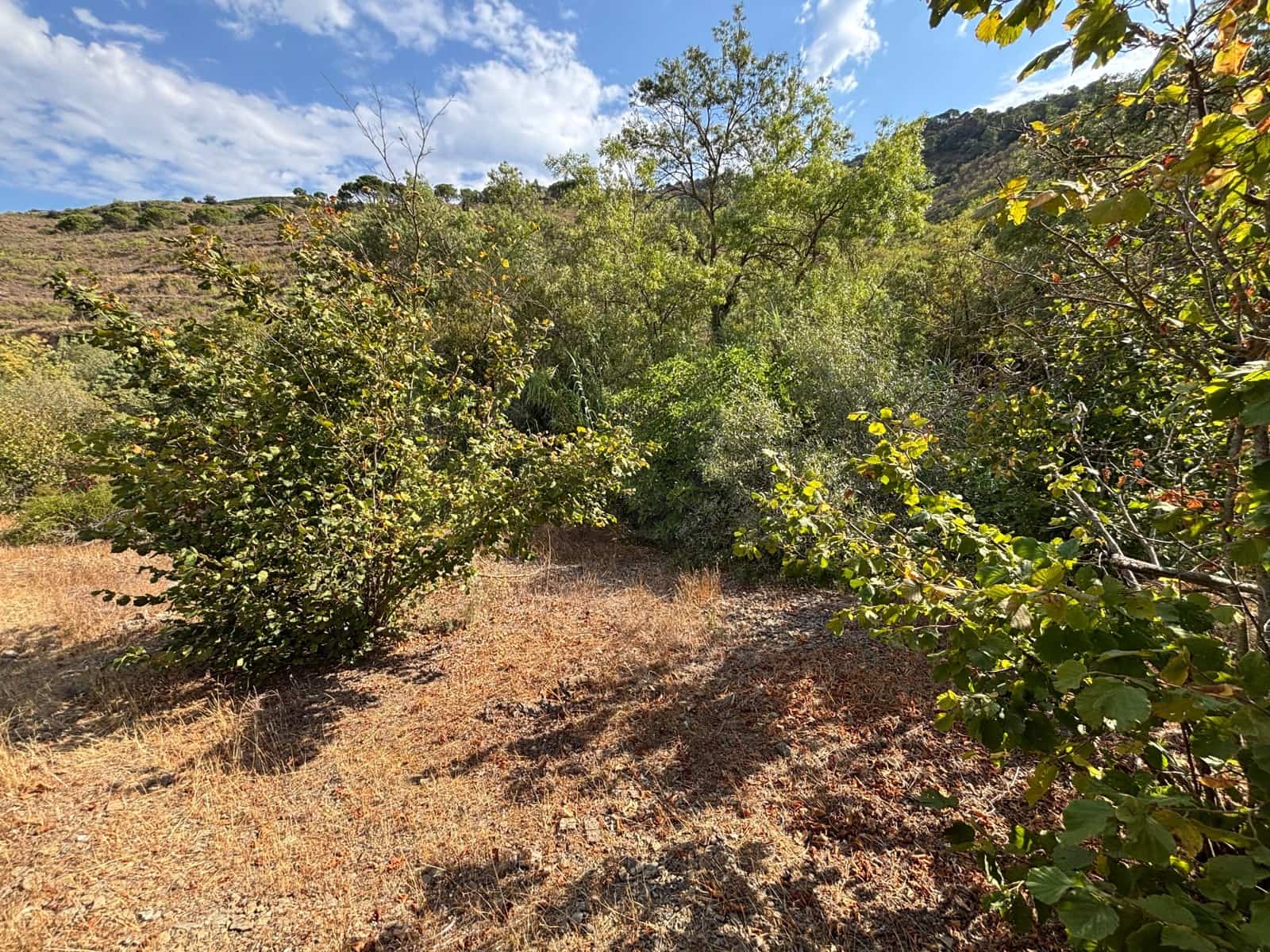 Grond te koop in Porrera - € 87.500 (Ref: 10150584)