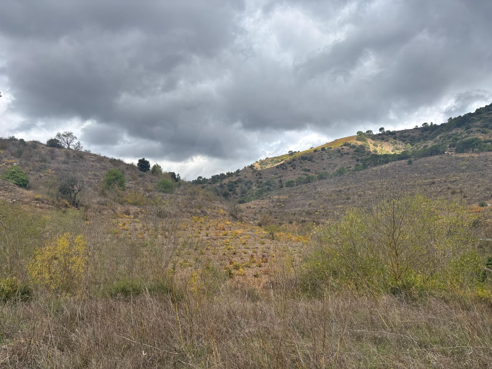 Grond te koop in Porrera - € 87.500 (Ref: 10150584)