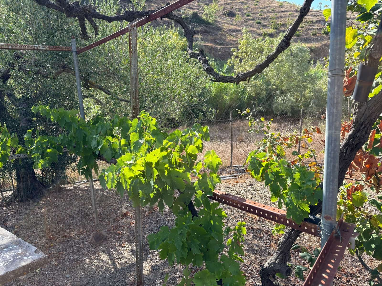 Grond te koop in Porrera - € 87.500 (Ref: 10150584)