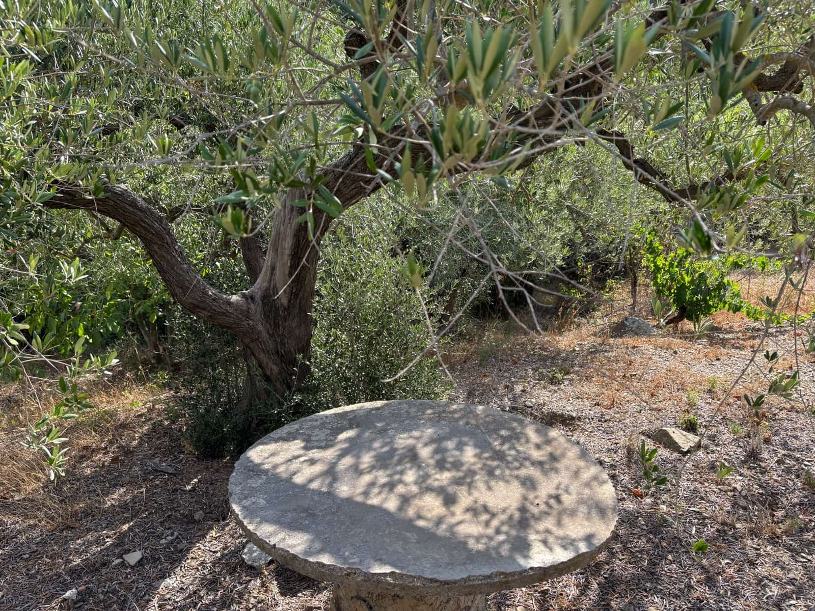 Grond te koop in Porrera - € 87.500 (Ref: 10150584)