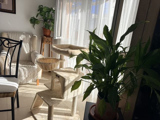 4 makuuhuone Huoneisto myytävänä paikassa Lepe - 140 000 € (Ref: 10153251)
