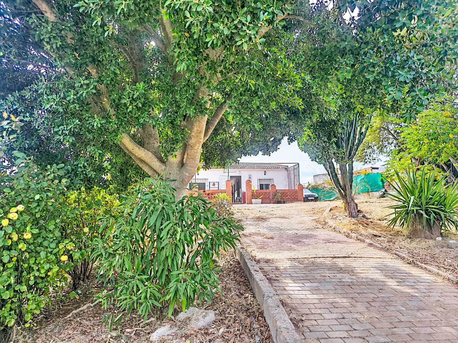 Finca/Country House for sale in Gibraleon with pool - € 149,900 (Ref: 10153258)