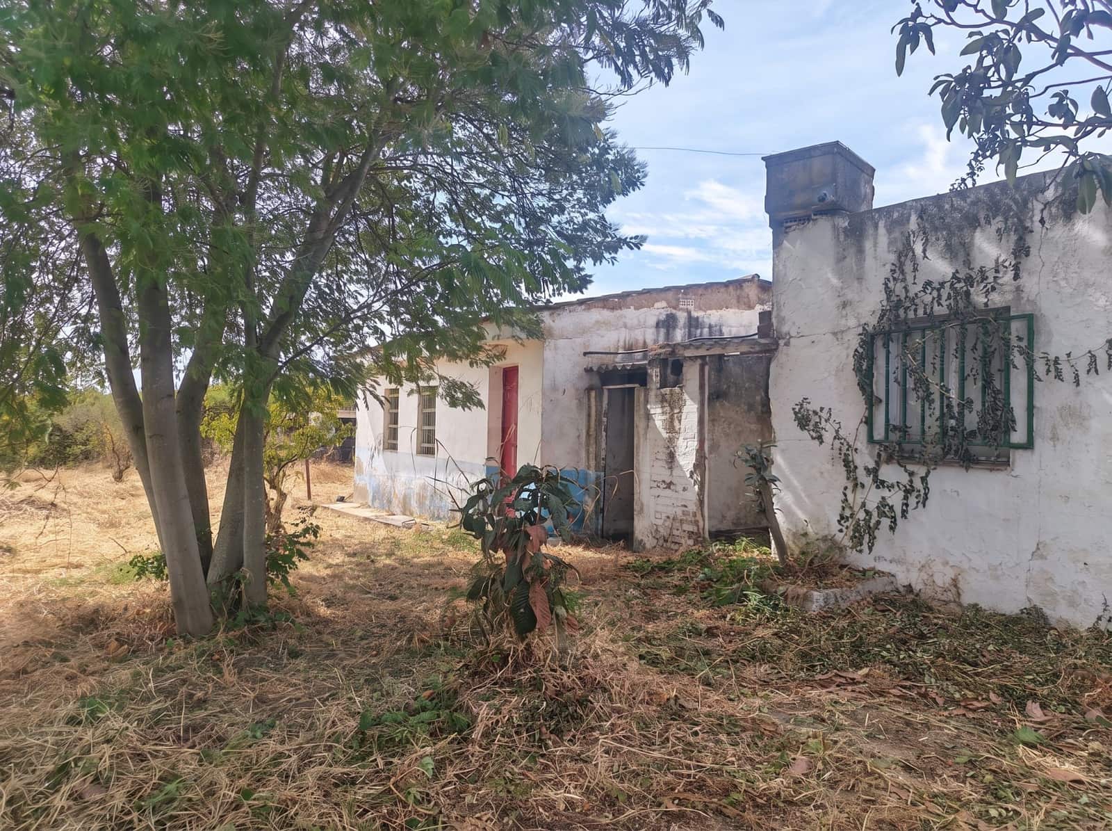 Finca/Country House for sale in Gibraleon with pool - € 149,900 (Ref: 10153258)