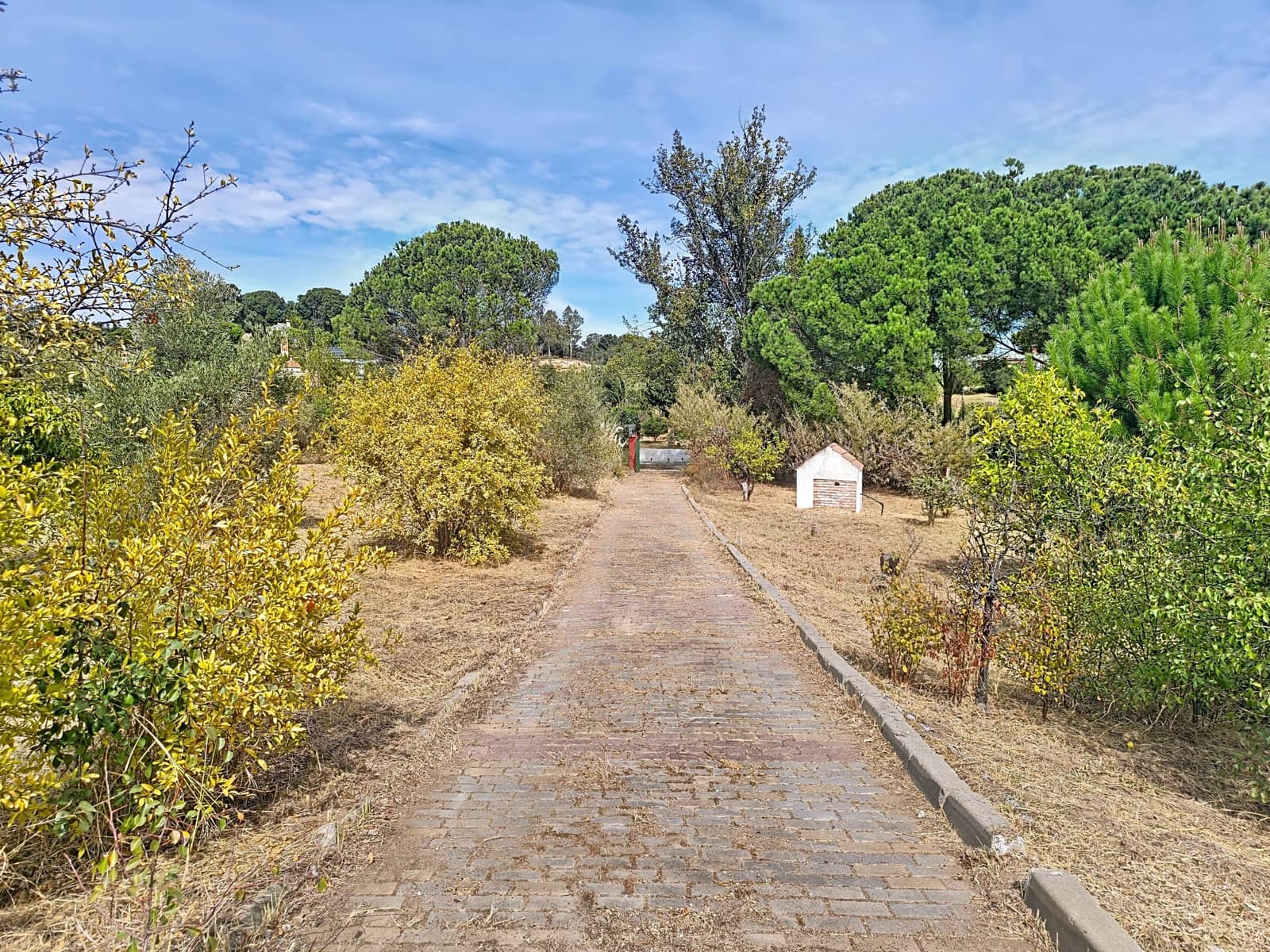 Finca/Country House for sale in Gibraleon with pool - € 149,900 (Ref: 10153258)