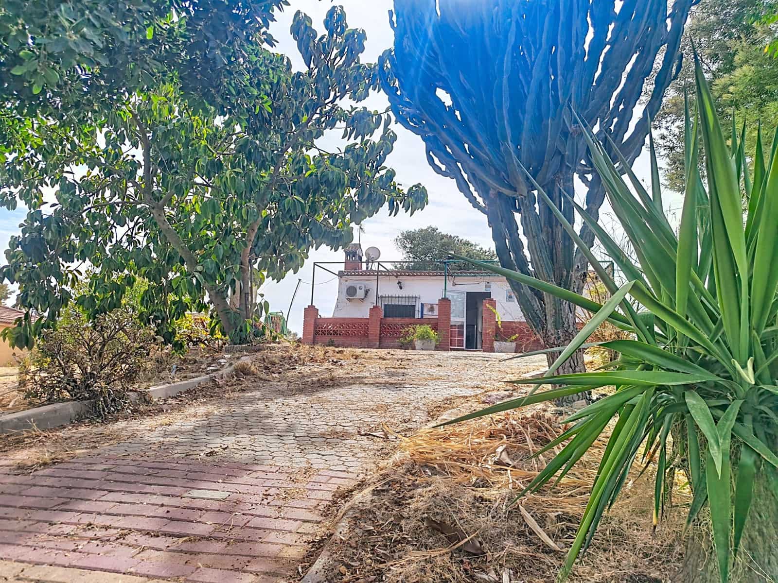 Finca/Country House for sale in Gibraleon with pool - € 149,900 (Ref: 10153258)