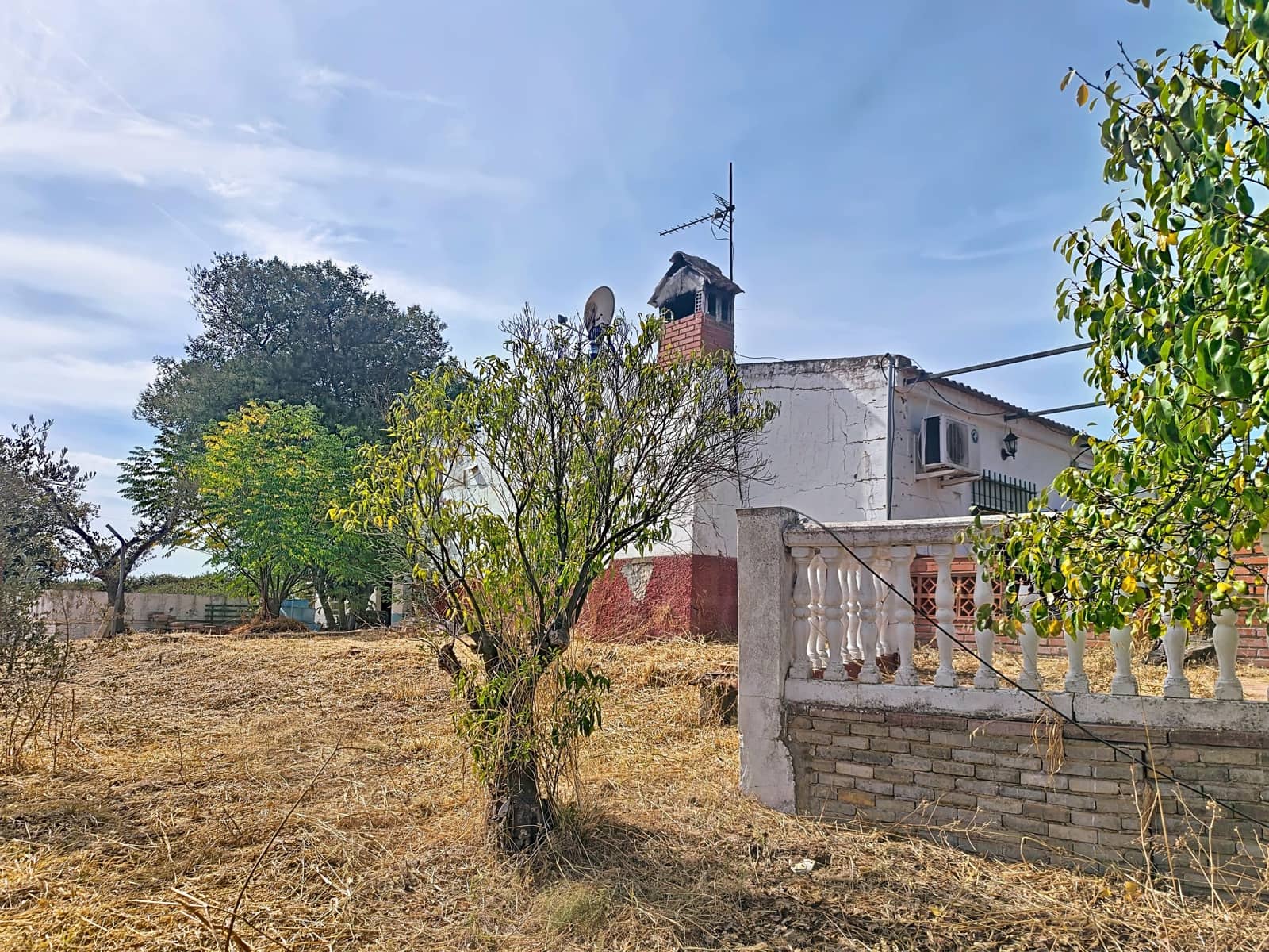 Finca/Country House for sale in Gibraleon with pool - € 149,900 (Ref: 10153258)